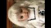 Dianna Effner Ufdc 2019 Centerpiece Le10 Little Darling Doll Julia As Baby Peggy Vinyl Baby Dolls